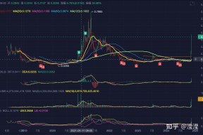 包含SEC冲破Coinbase美元大关，牛市是否已来临？的词条-半岛体育官网