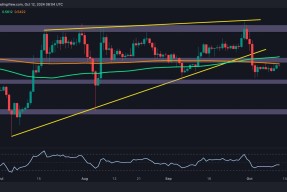 专家称XRP将在年底冲破32.9美元，引发引发关注-半岛体育